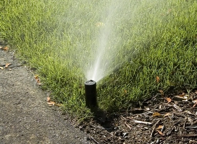 Automatic sprinkler head waters grass