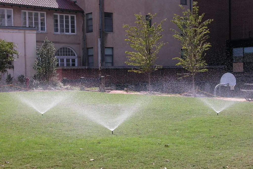 Lawn Watering Tips in Northern Virginia: When, How Often, & More