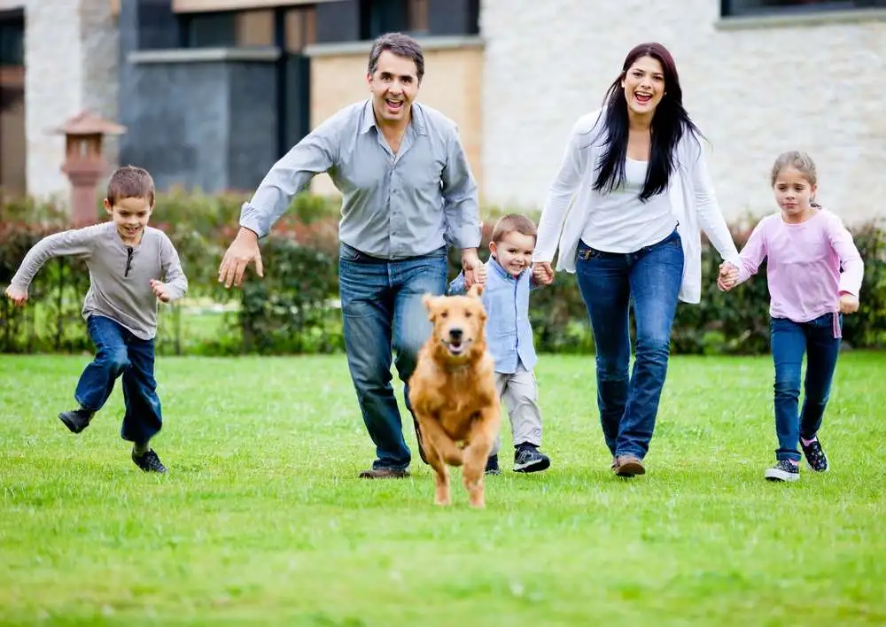 Happy family running with their dog outdoors