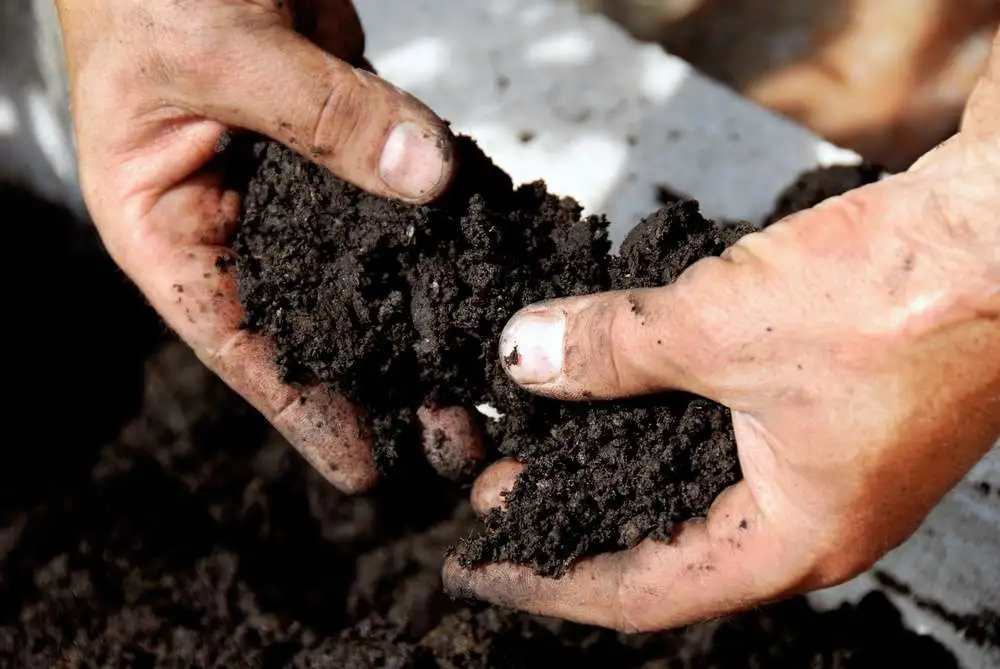 holding-soil