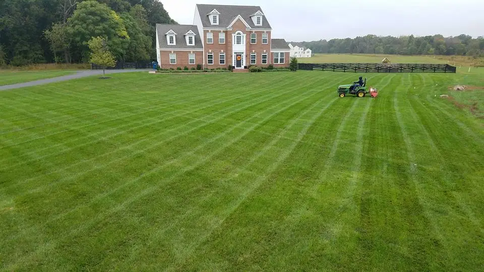 mowing patterns on grass