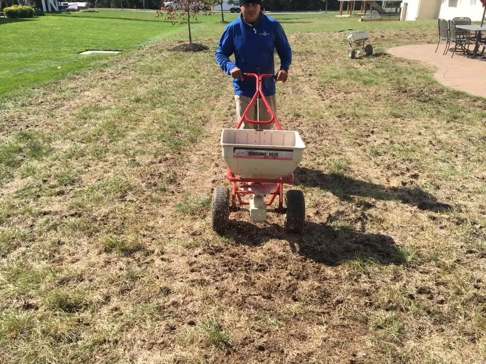 lawn technician seeding lawn
