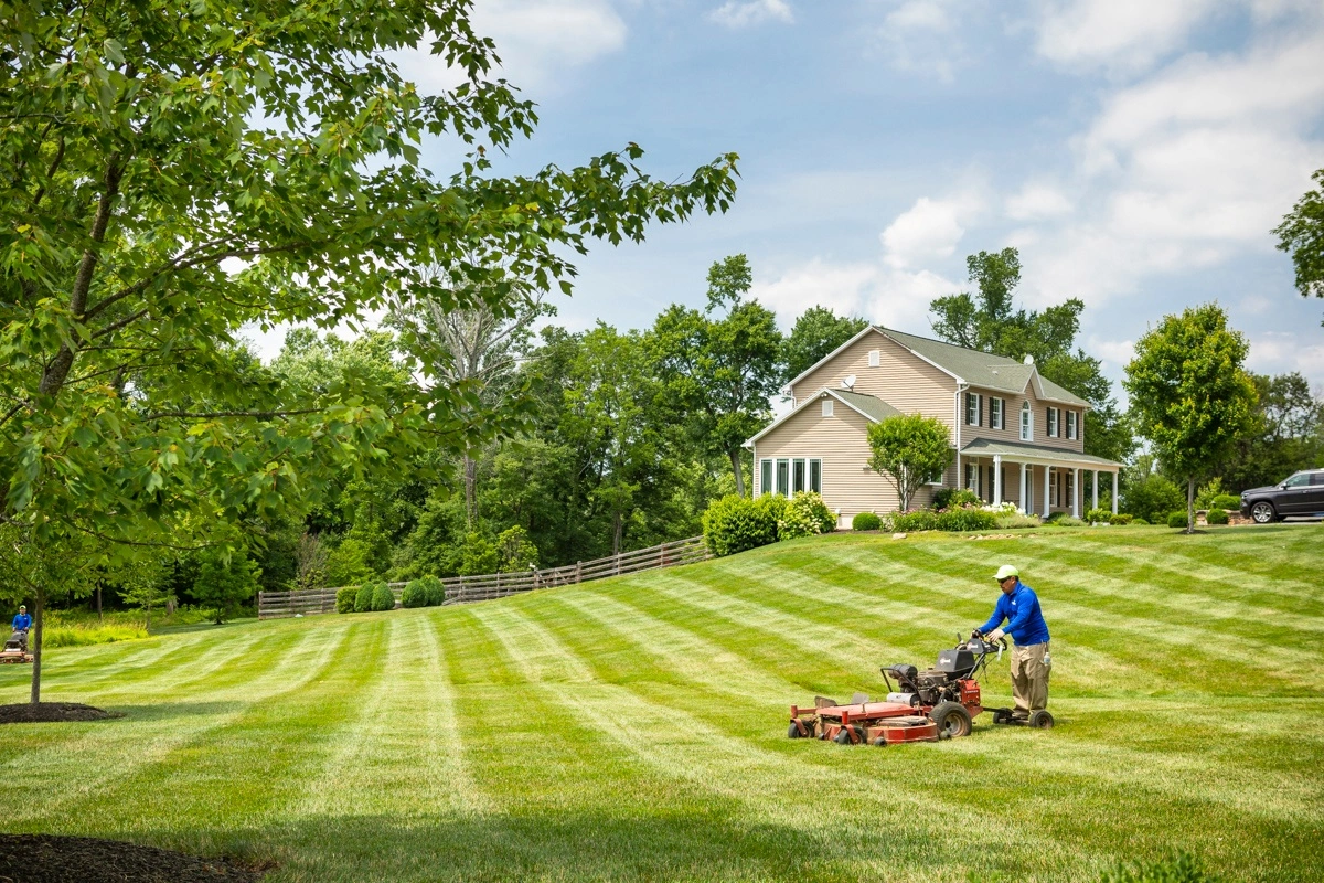 lawn care expert mows grass
