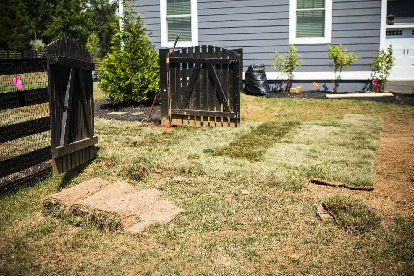 homeowners replace sod
