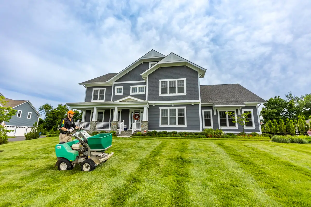 lawn care expert fertilizes lush green grass