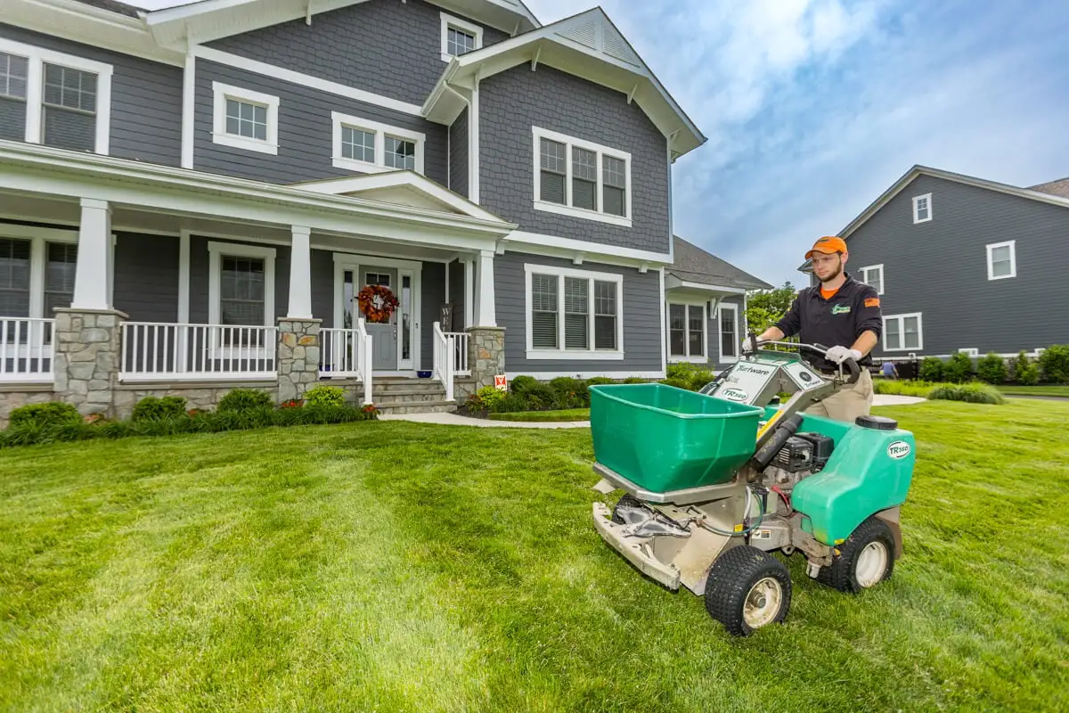 lawn care expert spread granular fertilizer on lawn