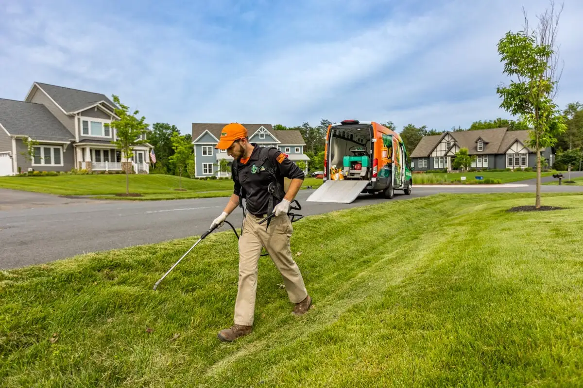 lawn care technician spot sprays weeds 