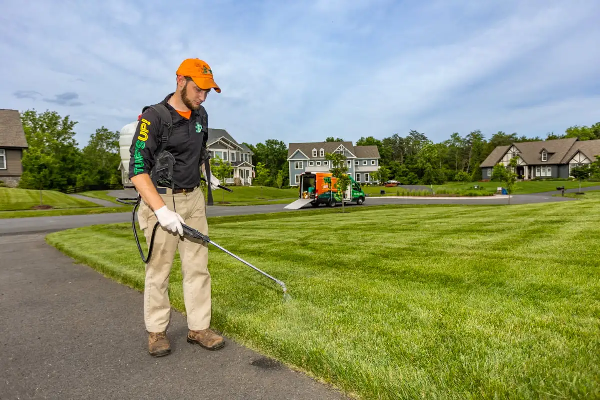 lawn care company sprays for weeds along driveway