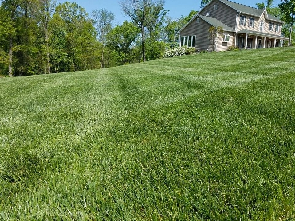 healthy green lawn with lime application