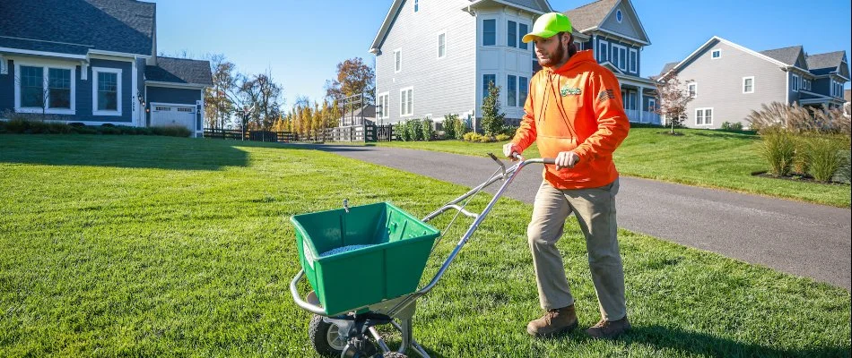 Lawn in Leesburg, VA, receiving granular fertilizer treatment.