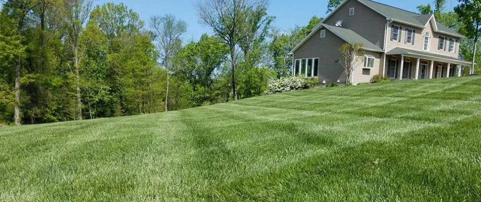 Beautiful lawn in Leesburg, VA.