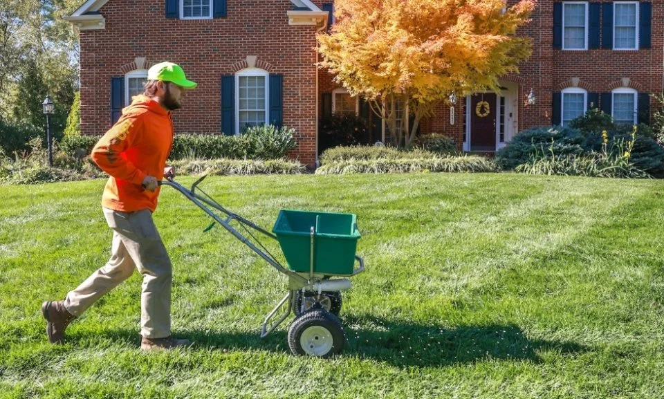 Spreading lawn seed in Ashburn, VA to thicken the grass.